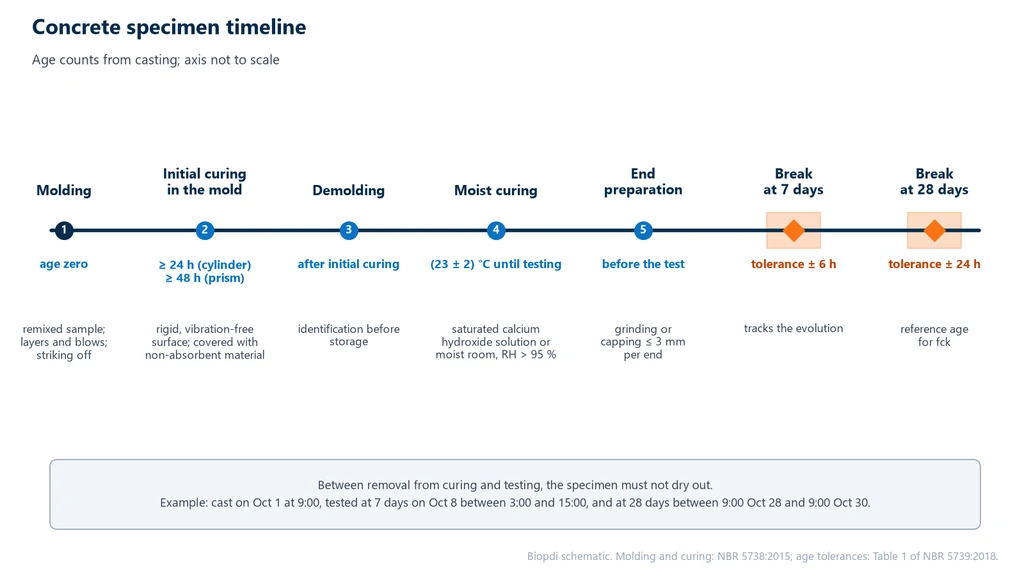 Timeline of a concrete test specimen: molding at age zero, initial curing in the mold for at least 24 h for cylinders and 48 h for prisms, demolding and identification, moist curing at 23 ± 2 °C in saturated calcium hydroxide solution or a moist room with RH above 95 %, end preparation by grinding or capping up to 3 mm, and breaking at 7 days with a 6 h tolerance and at 28 days with a 24 h tolerance
