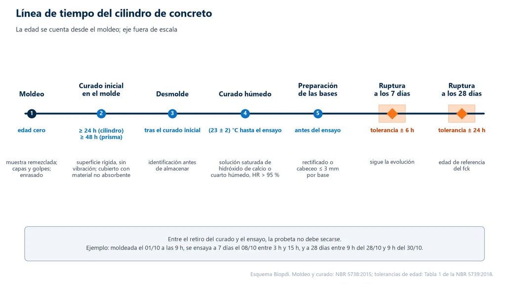 Línea de tiempo de la probeta de concreto: moldeo en la edad cero, curado inicial en el molde por al menos 24 h en el cilindro y 48 h en el prisma, desmoldeo e identificación, curado húmedo a 23 ± 2 °C en solución saturada de hidróxido de calcio o cuarto húmedo con HR superior a 95 %, preparación de las bases por rectificado o cabeceo de hasta 3 mm y ruptura a los 7 días con tolerancia de 6 h y a los 28 días con tolerancia de 24 h