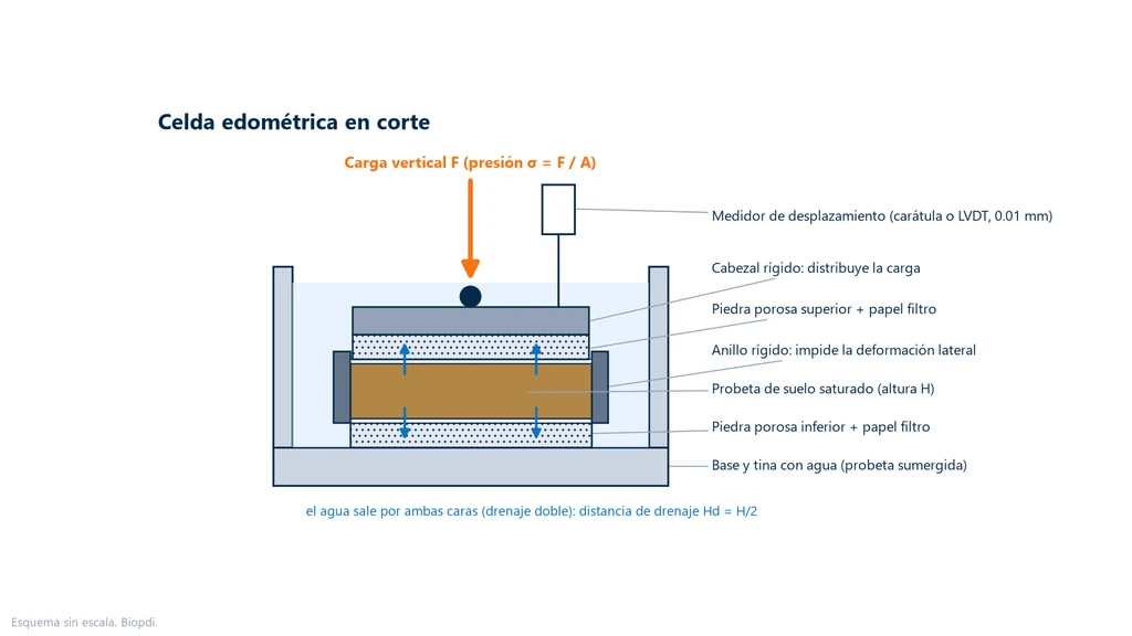 Ensayo de consolidación del suelo (edométrico, unidimensional): esquema en corte de la celda edométrica (consolidómetro): probeta de suelo saturado dentro de un anillo rígido, entre piedras porosas y papel filtro, con cabezal, carga vertical, medidor de desplazamiento y flechas de drenaje hacia arriba y hacia abajo