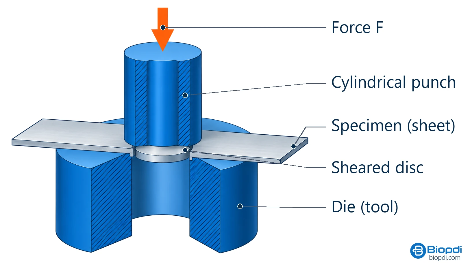 Diagram of the punch shear fixture: cylindrical punch, test specimen and die