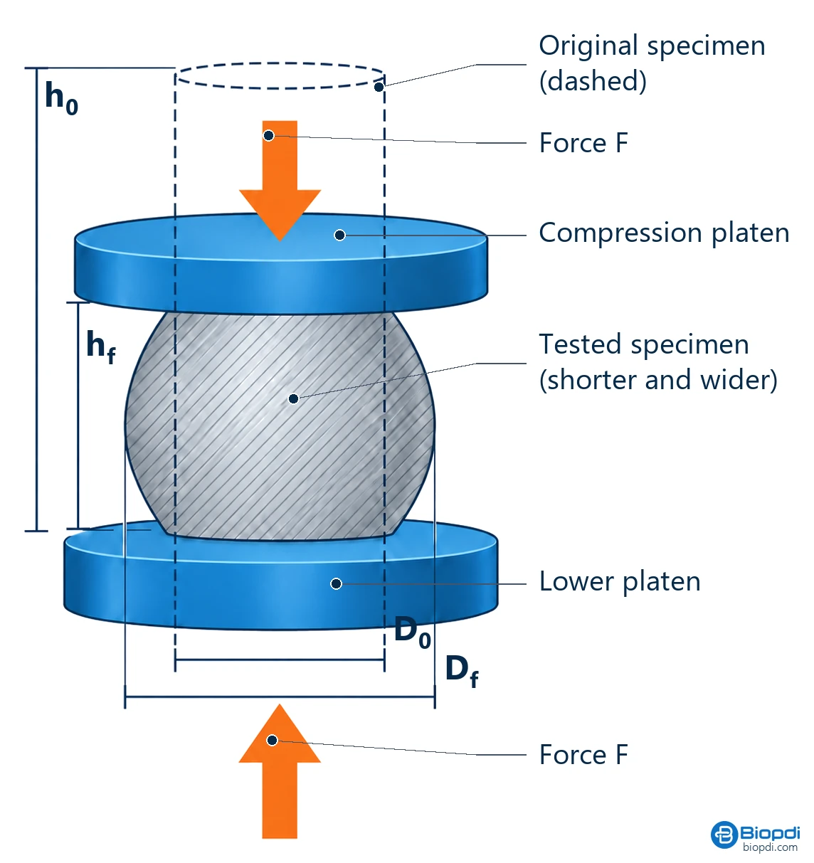 Compression test diagram with the force applied by the platens and the original and barreled specimen, showing initial and final diameters and heights