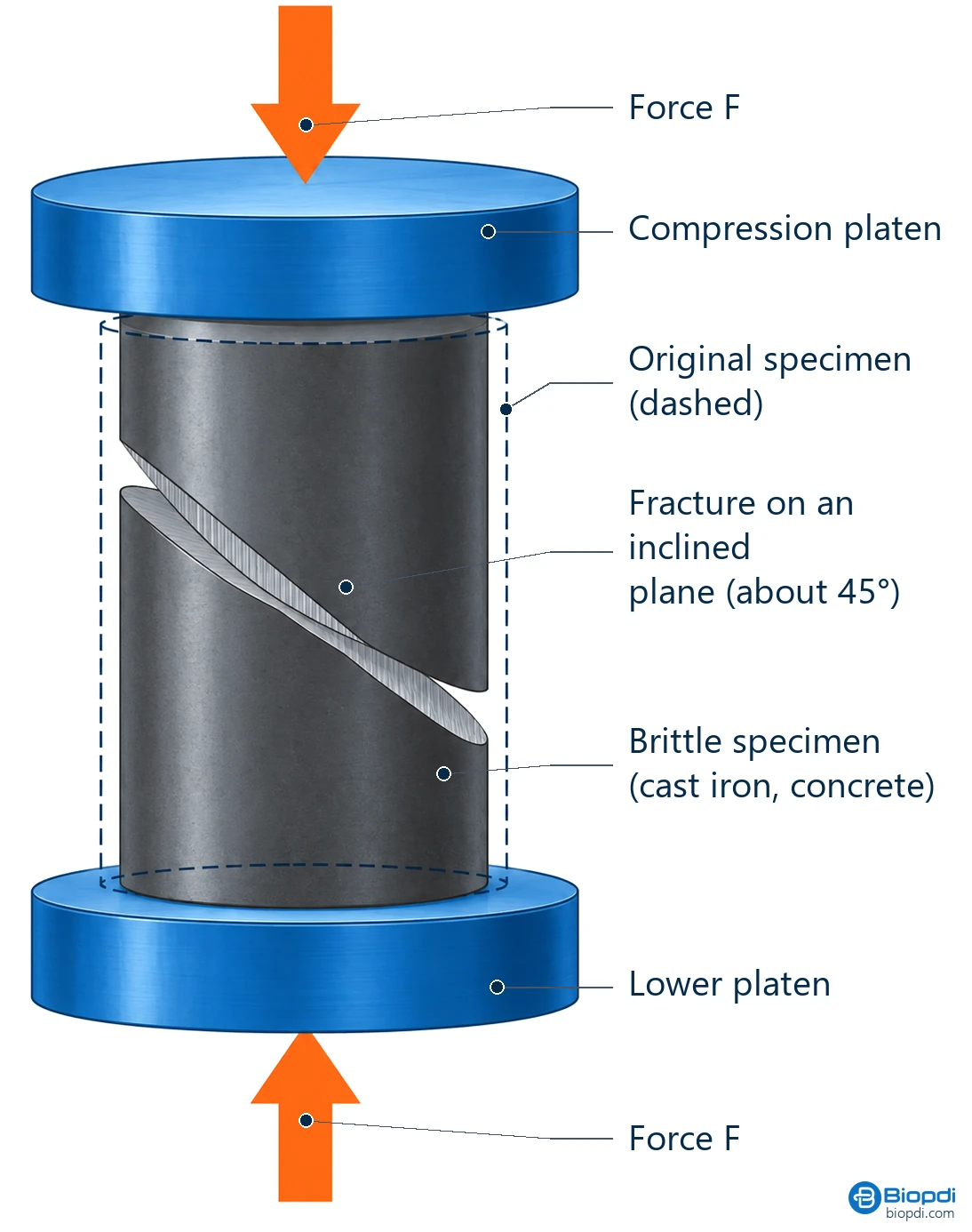 Compression test diagram of a brittle material: the specimen fractures along an inclined plane between the platens