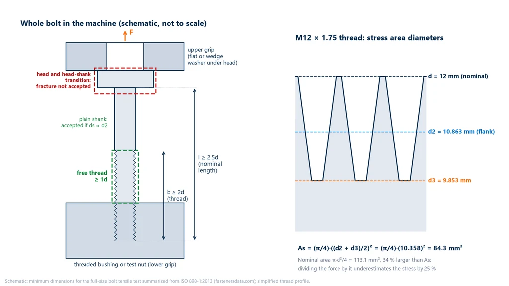 Diagram of a full-size bolt mounted between the upper grip and a threaded adapter, with dimensions l ≥ 2.5d, b ≥ 2d and free thread length ≥ 1d, the zone where fracture is accepted and the head zone where it is not; beside it, the M12 × 1.75 thread profile with d, d2 and d3 and the calculation As = 84.3 mm²