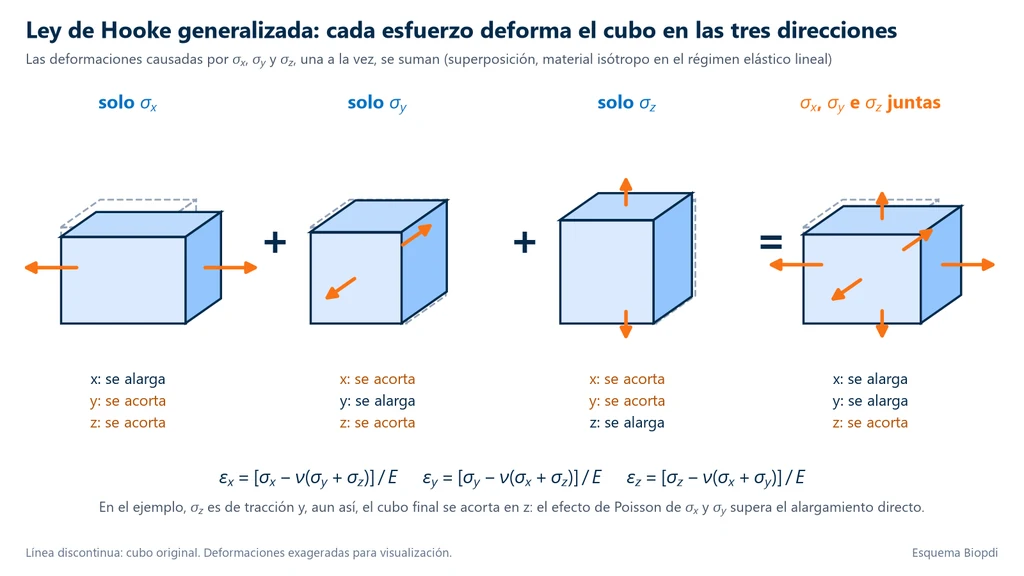 Ley de Hooke generalizada: superposición de las deformaciones de un cubo bajo σx, σy y σz, con alargamiento en la dirección de cada esfuerzo y acortamiento en las otras dos por el efecto de Poisson
