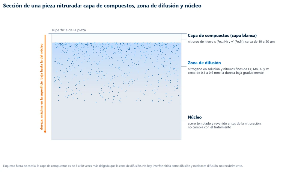 Esquema de la sección de una pieza nitrurada: en la superficie, la capa de compuestos de nitruros de hierro ε y γ' con 10 a 20 µm; debajo, la zona de difusión de 0.1 a 0.6 mm con nitruros finos cuya densidad disminuye con la profundidad; abajo, el núcleo templado y revenido