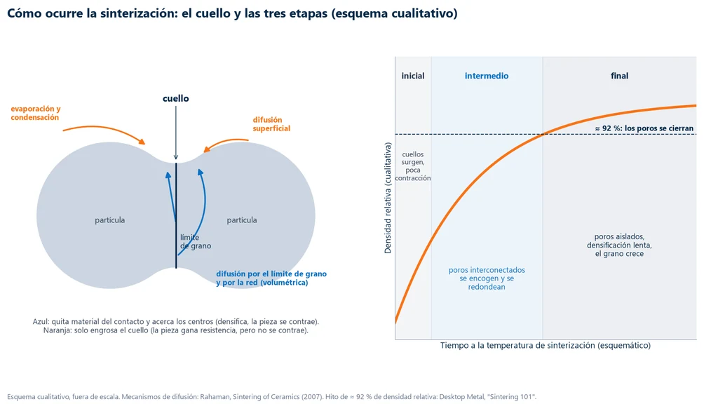 Esquema cualitativo con dos partículas unidas por un cuello, las flechas de la difusión superficial y de la evaporación y condensación, que solo engrosan el cuello, y las de la difusión por el límite de grano y por la red, que acercan los centros y densifican; al lado, la curva de densidad relativa contra el tiempo con las etapas inicial, intermedia y final y la marca de cerca del 92 %, en la que los poros se cierran