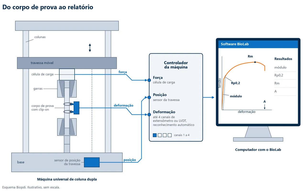 Signal path in an M2 line test: force from the load cell, crosshead position and strain from the extensometer reach the controller and the BioLab software, which plots the curve and calculates the results