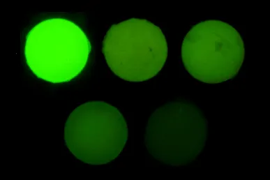 Fluorescence samples